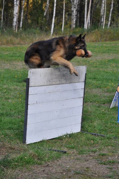 DSC_0202.jpg