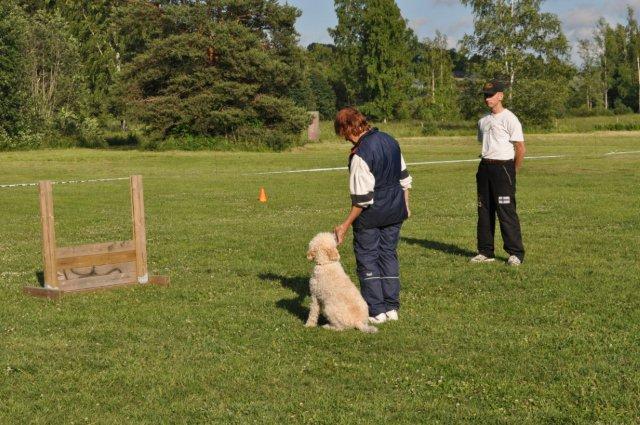 DSC_0161.jpg