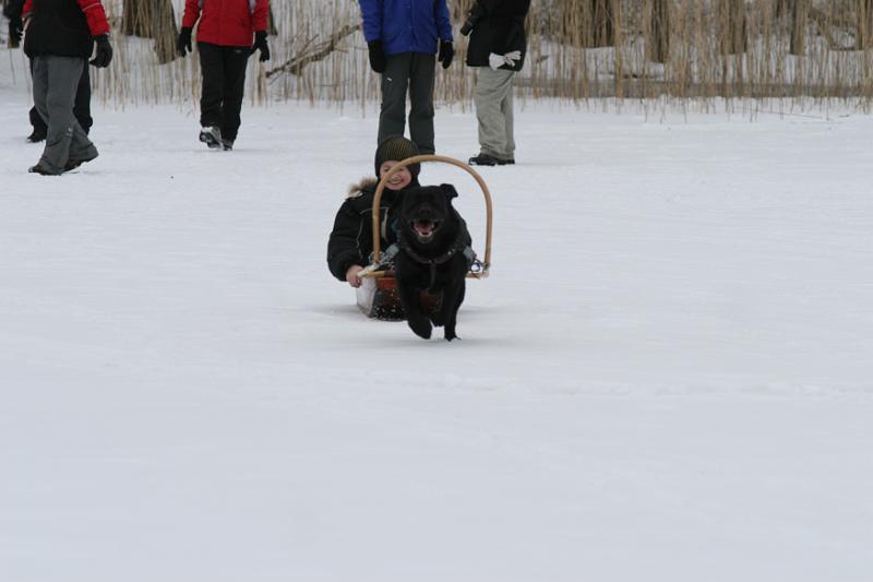 IMG_5785.JPG