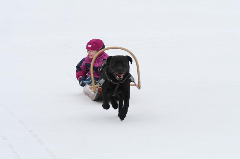 IMG_5797.JPG