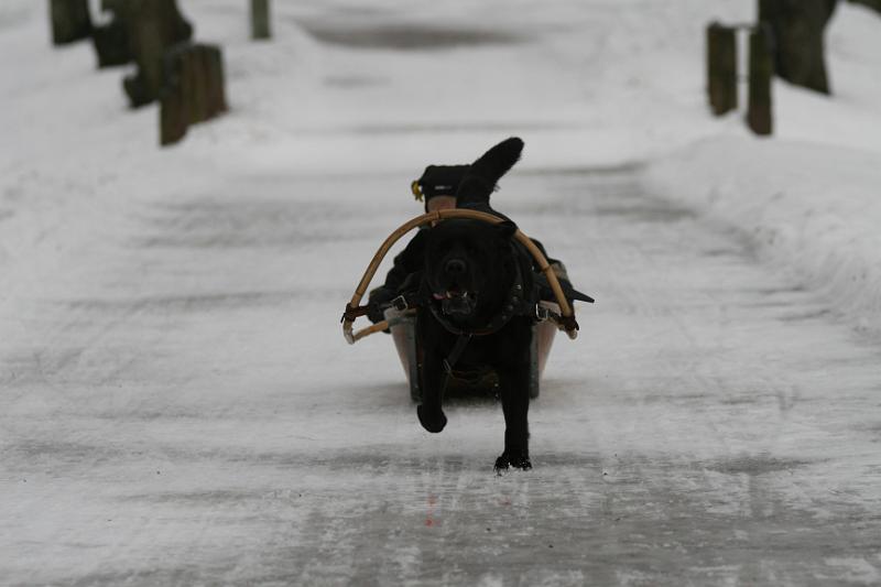 IMG_6045.JPG