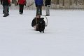 IMG_5785