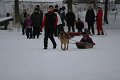 IMG_5790