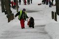 IMG_6011