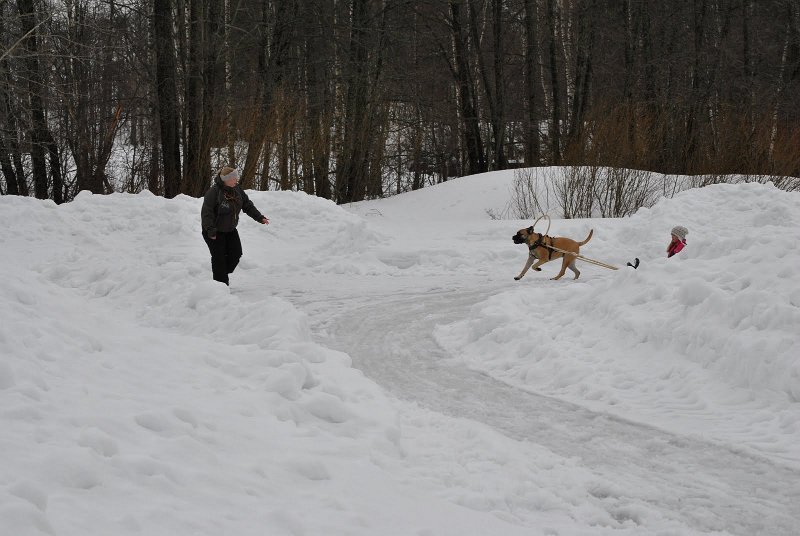 DSC_2466.JPG