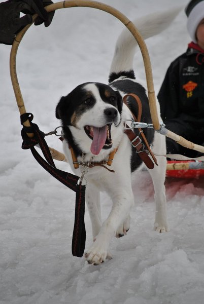 DSC_2508.JPG